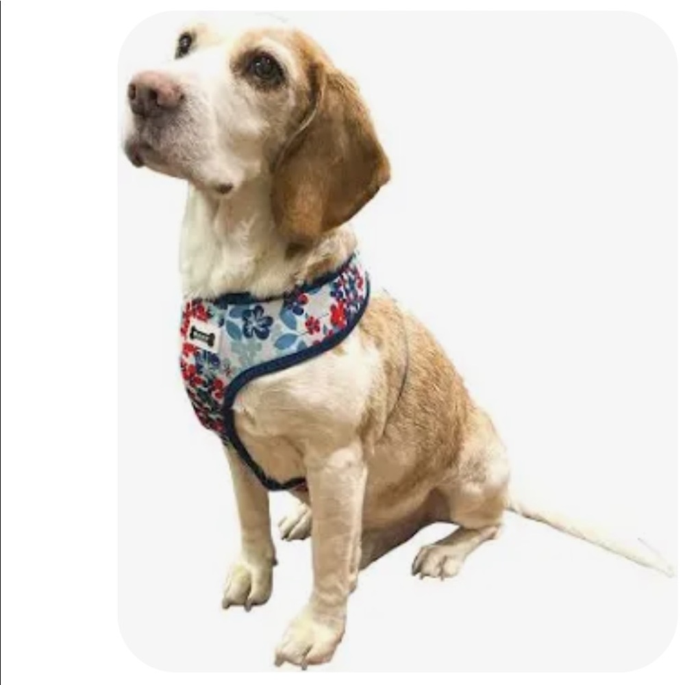 NWOT Woof brand medium dog harness